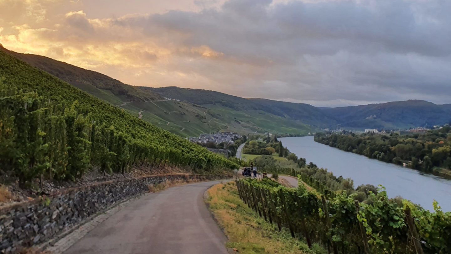 Blick über die Weinberge ins Moseltal