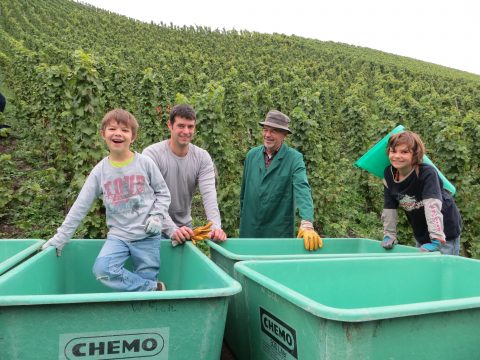 Familie Schaefer bei der Weinlese 2015