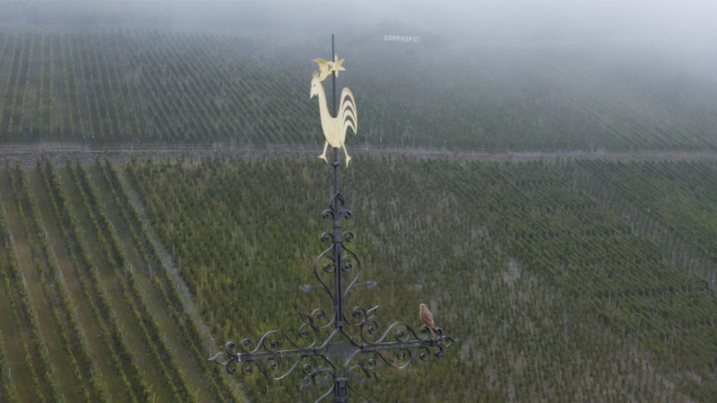 Luftaufnahme der Domprobst Lage mit Kirchturmspitze